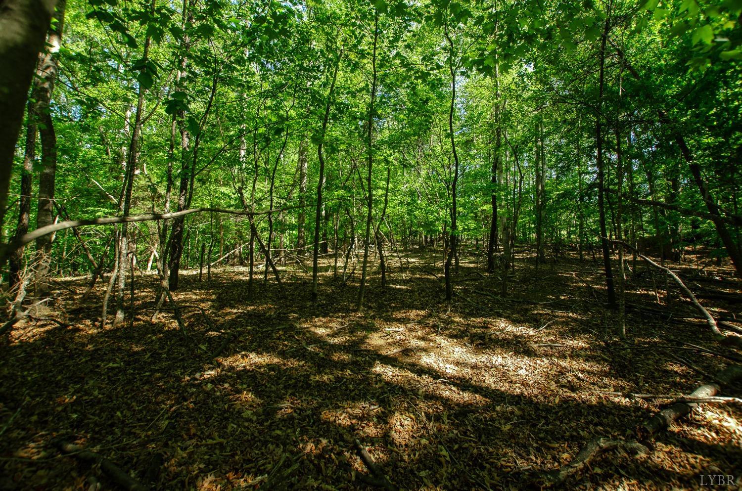 High Point Rd, Moneta, Virginia image 7