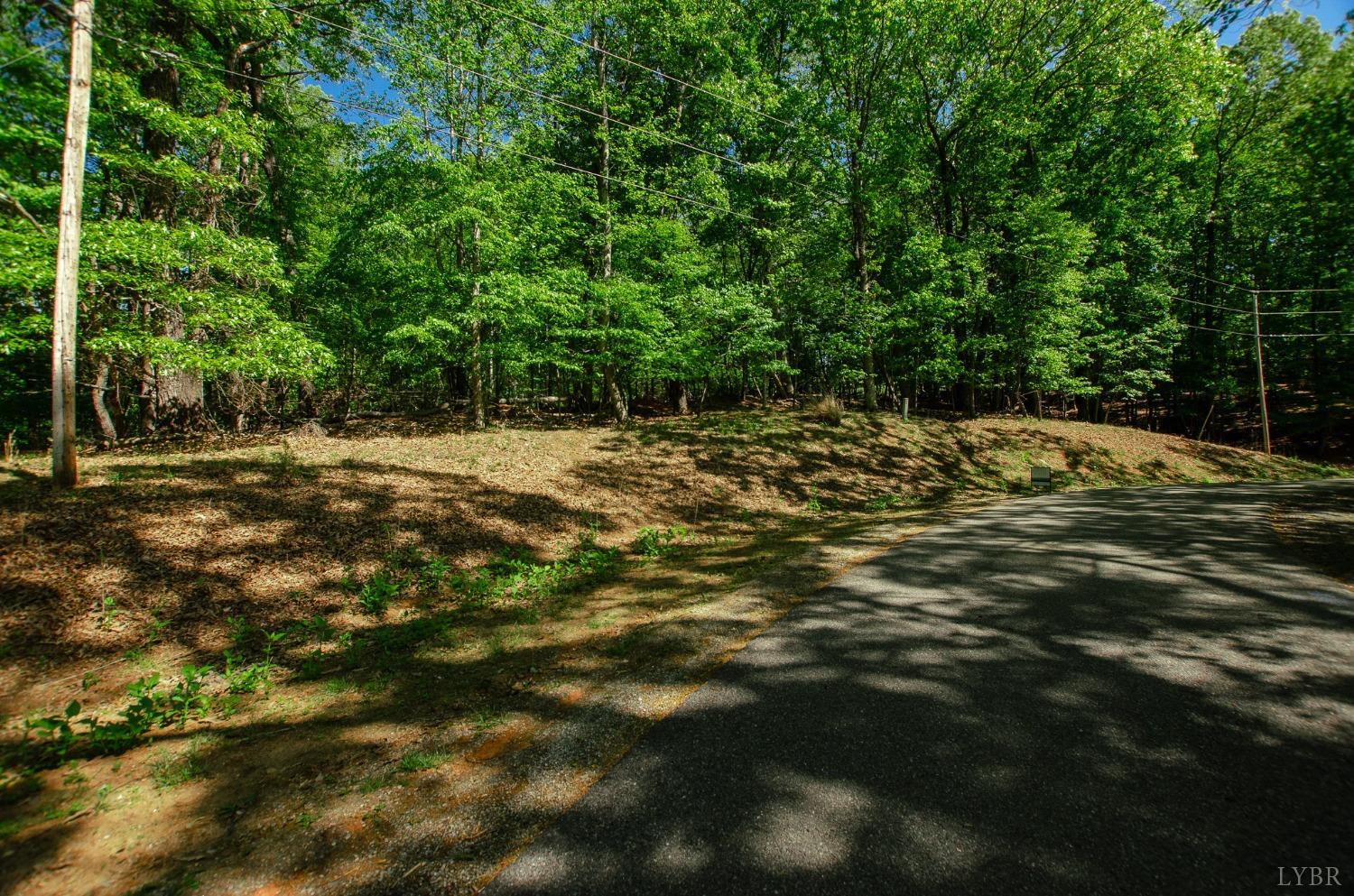 High Point Rd, Moneta, Virginia image 8