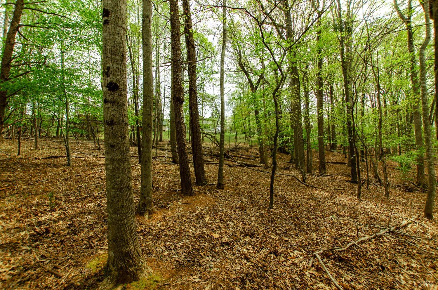 136 High Point Rd, Bedford, Virginia image 8