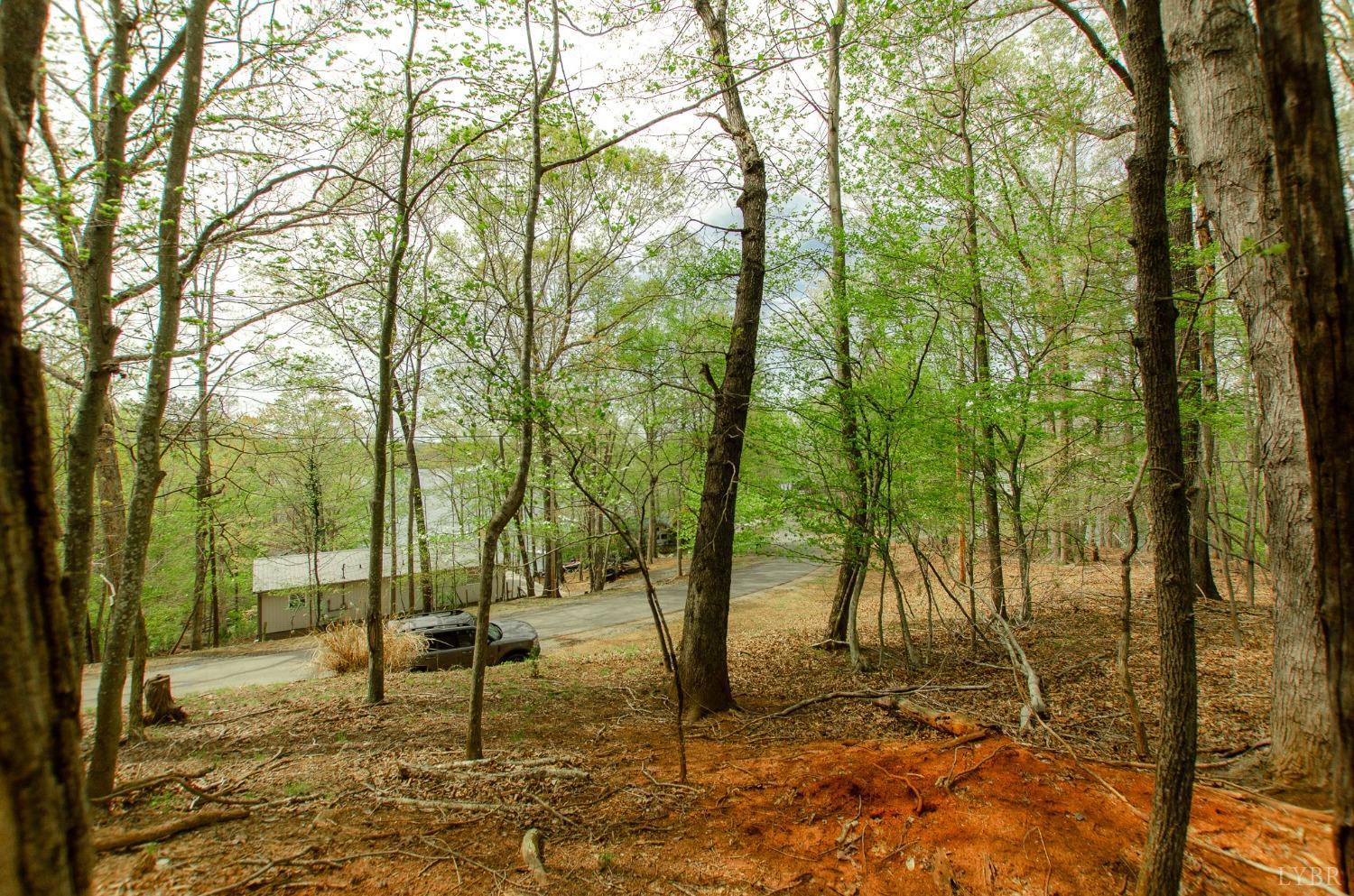 136 High Point Rd, Bedford, Virginia image 6