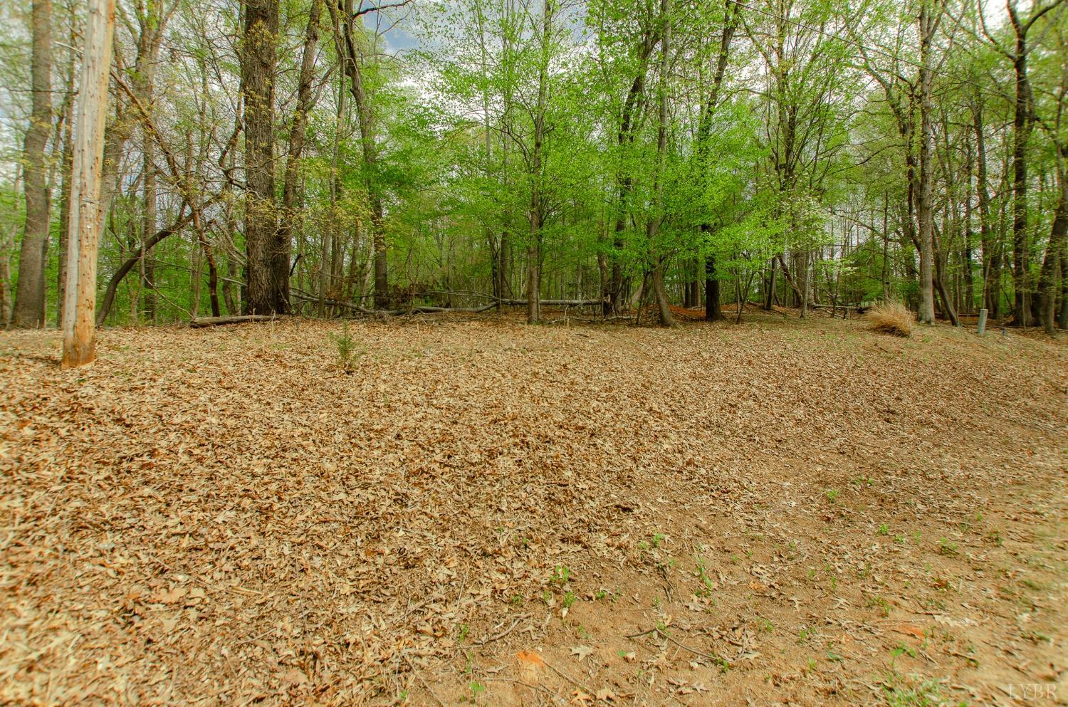 136 High Point Rd, Bedford, Virginia image 7