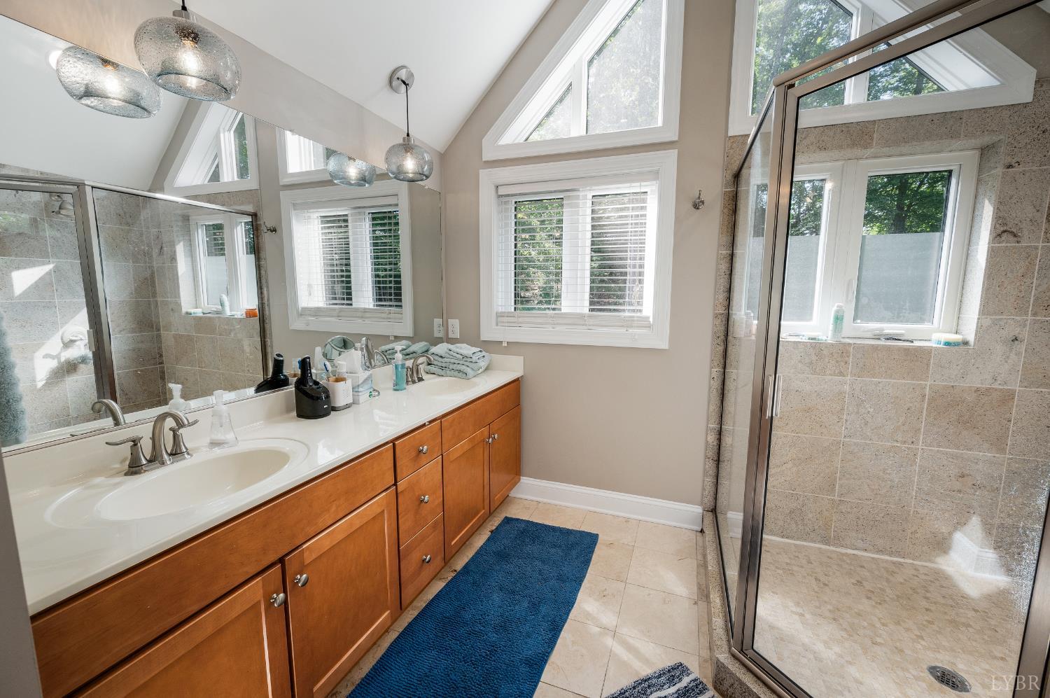1359 Nicholas Lane Ln, Moneta, Virginia image 22