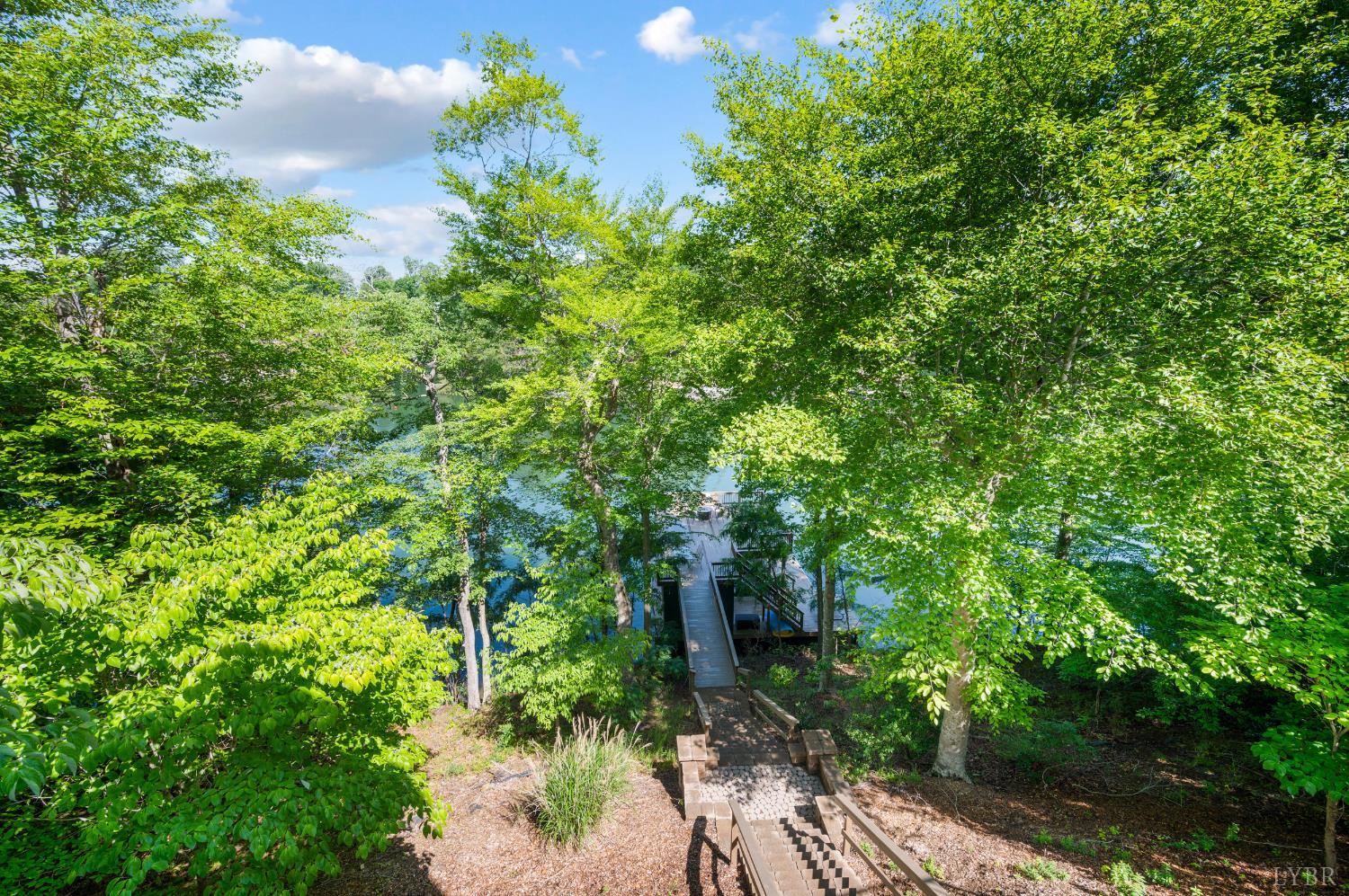 1359 Nicholas Lane Ln, Moneta, Virginia image 39