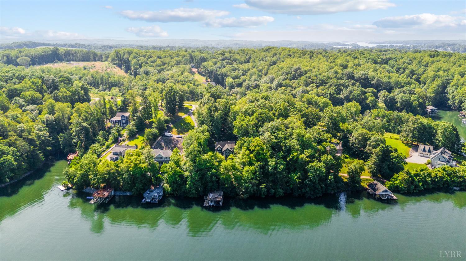 1359 Nicholas Lane Ln, Moneta, Virginia image 2