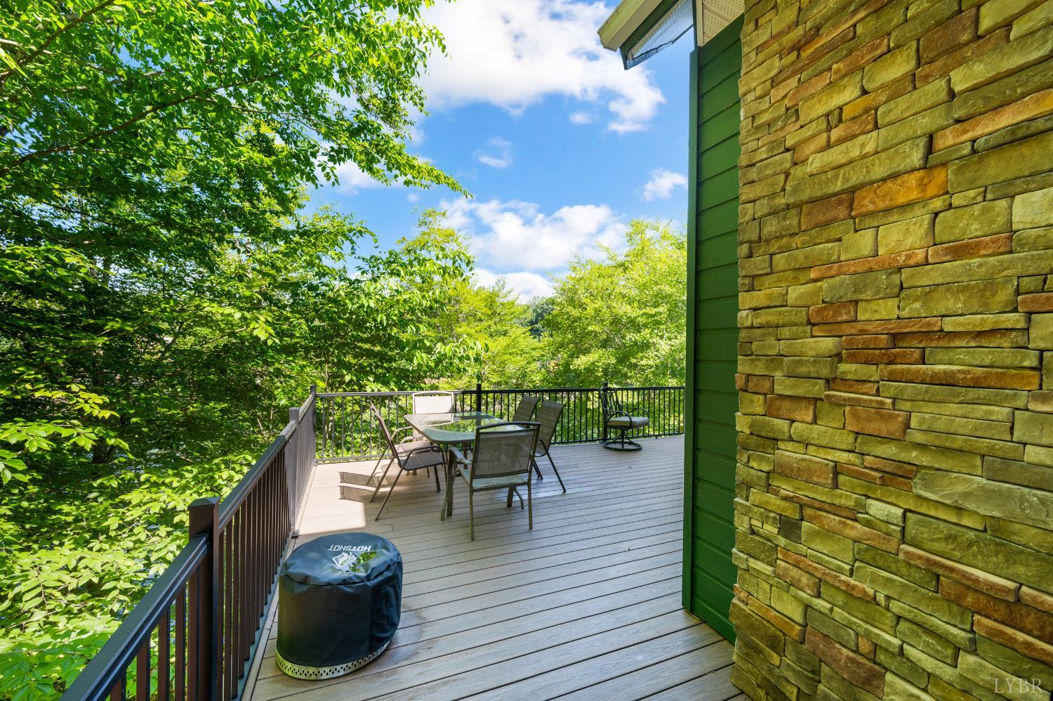 1359 Nicholas Lane Ln, Moneta, Virginia image 41