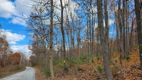Vacant Land For Sale - Major Grahams Road<br/> Wytheville, VA 24382