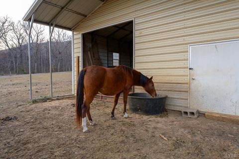 Tiny photo for 7585 Peaks Road, Bedford, VA 24523 (MLS # 363356)