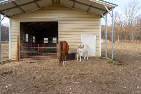 Tiny photo for 7585 Peaks Road, Bedford, VA 24523 (MLS # 363356)