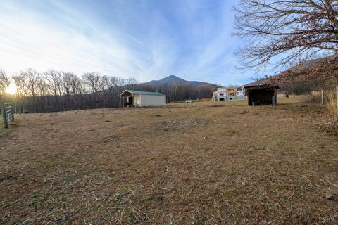 Tiny photo for 7585 Peaks Road, Bedford, VA 24523 (MLS # 363356)
