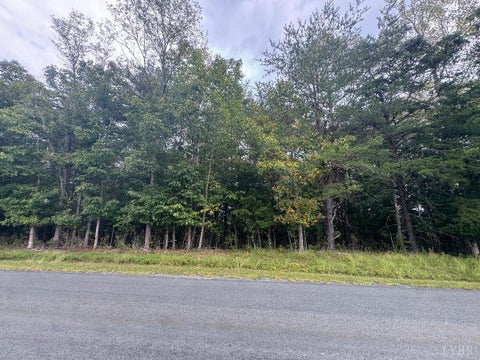 Vacant Land For Sale - Love Lady Creek Road<br/> Monroe, VA 24574