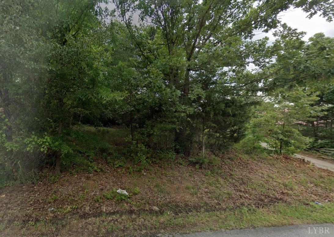 Airport Drive, Danville, Virginia image 1
