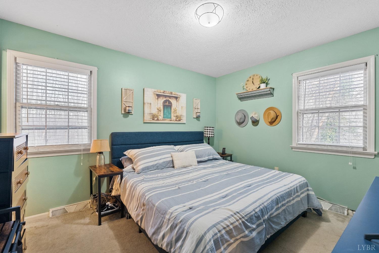 206 Simsbury Lane, Forest, Virginia image 25