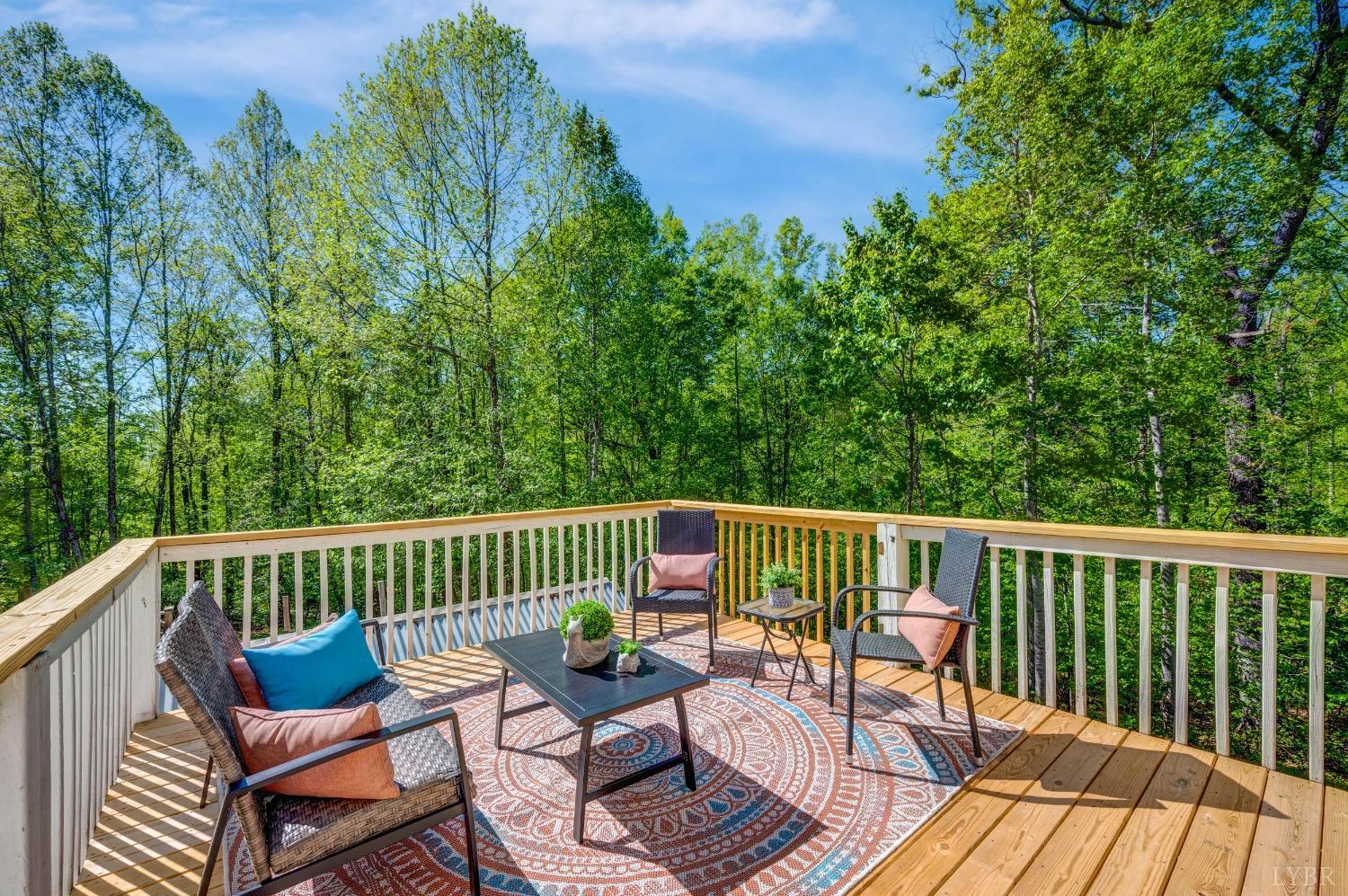 1132 Bancroft Ln, Goode, Virginia image 43