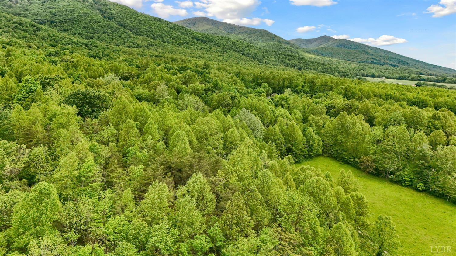 1539 Wheats Valley Road, Bedford, Virginia image 32