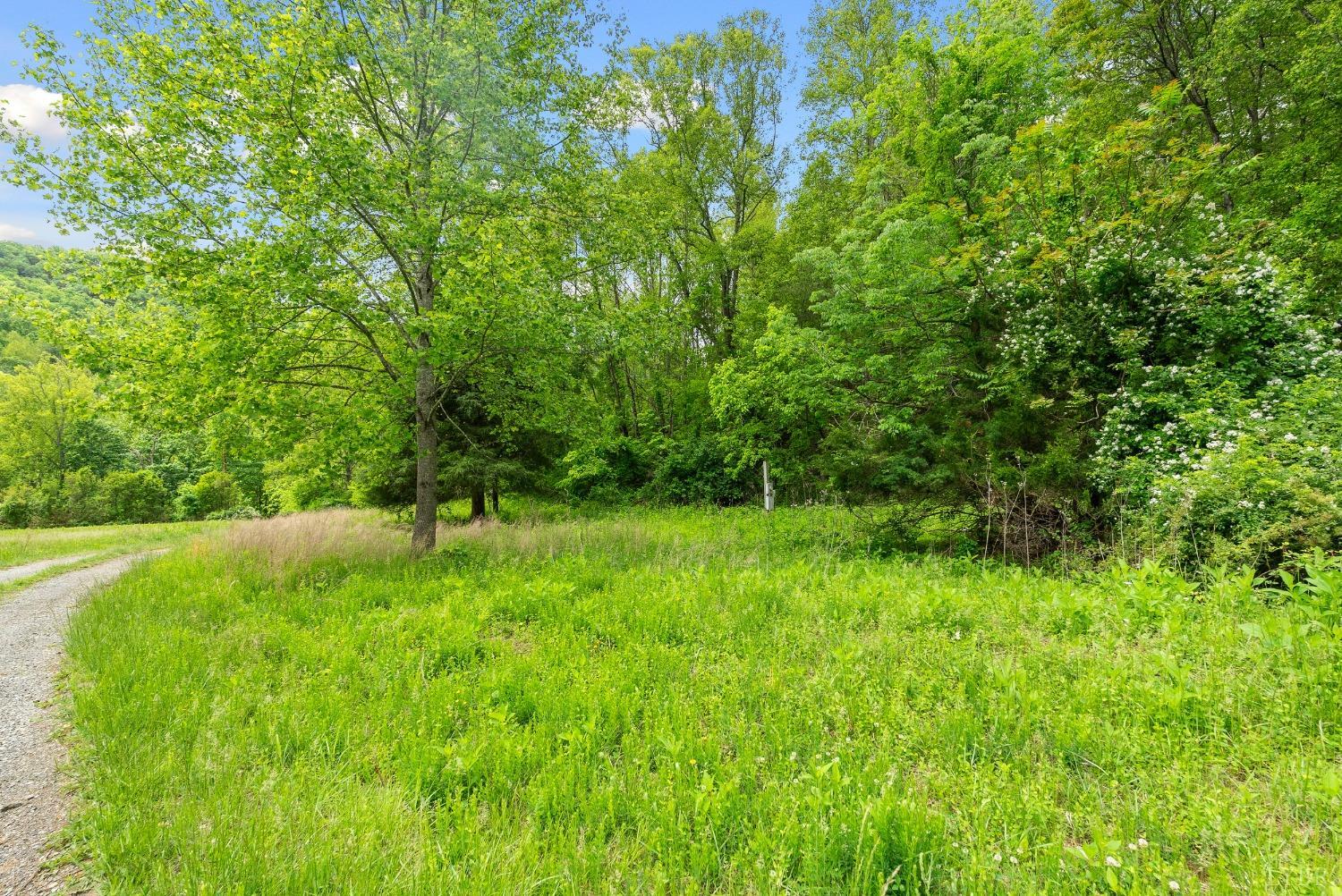 1539 Wheats Valley Road, Bedford, Virginia image 44