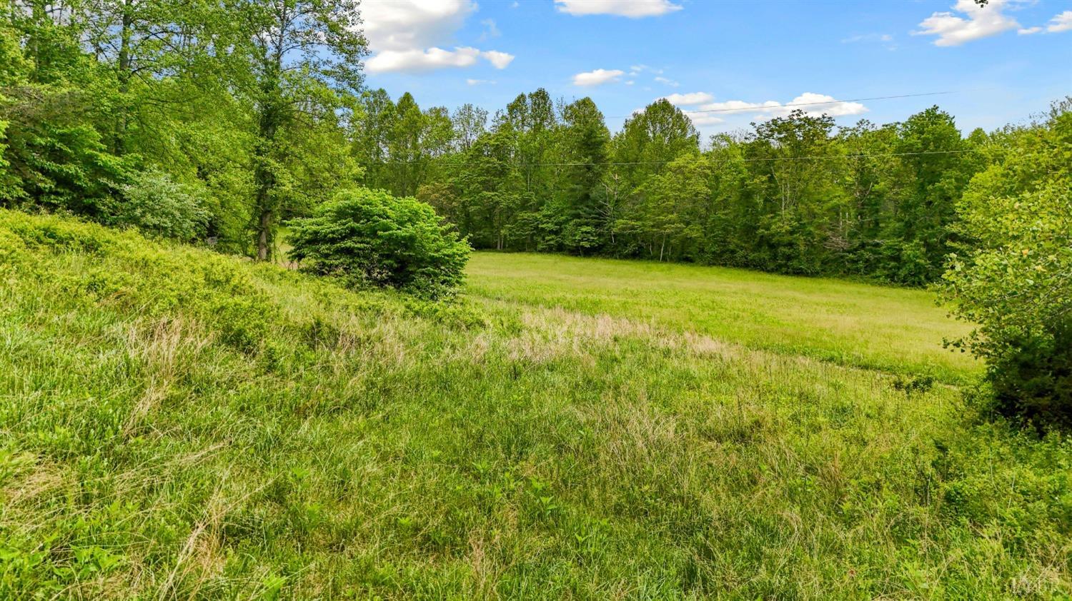 1539 Wheats Valley Road, Bedford, Virginia image 41