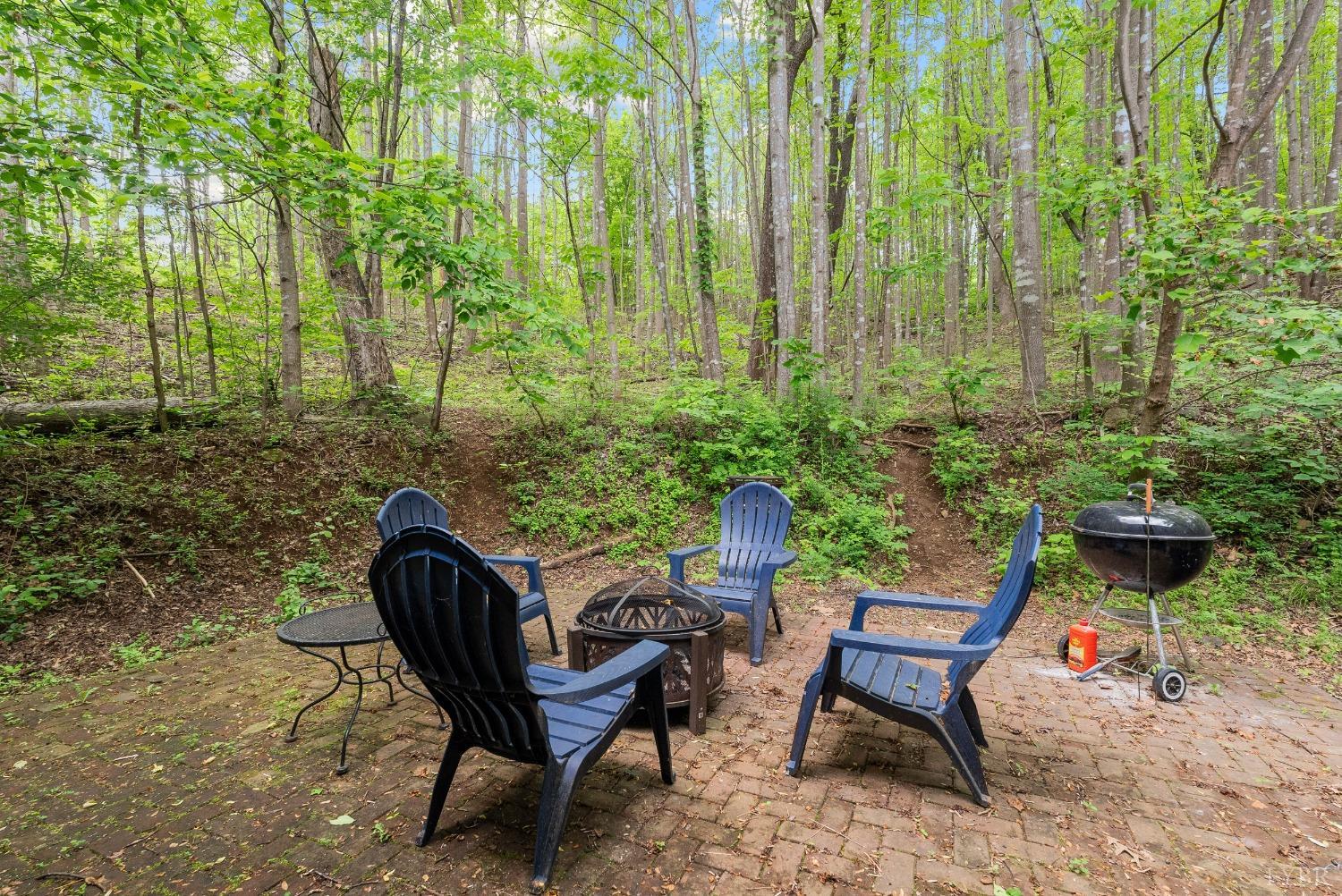 1539 Wheats Valley Road, Bedford, Virginia image 29