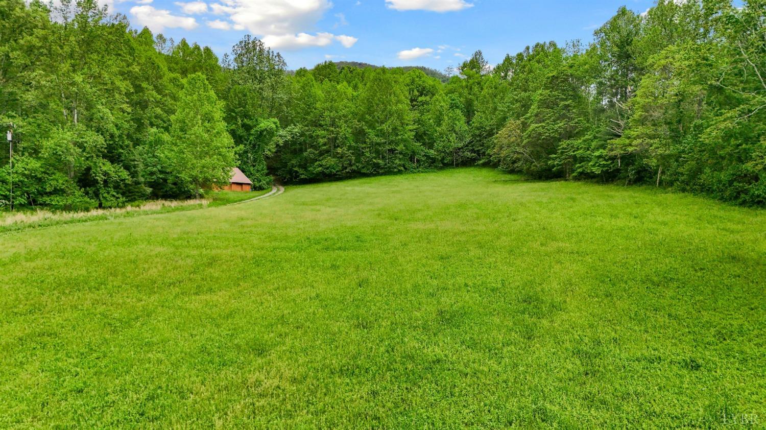1539 Wheats Valley Road, Bedford, Virginia image 34