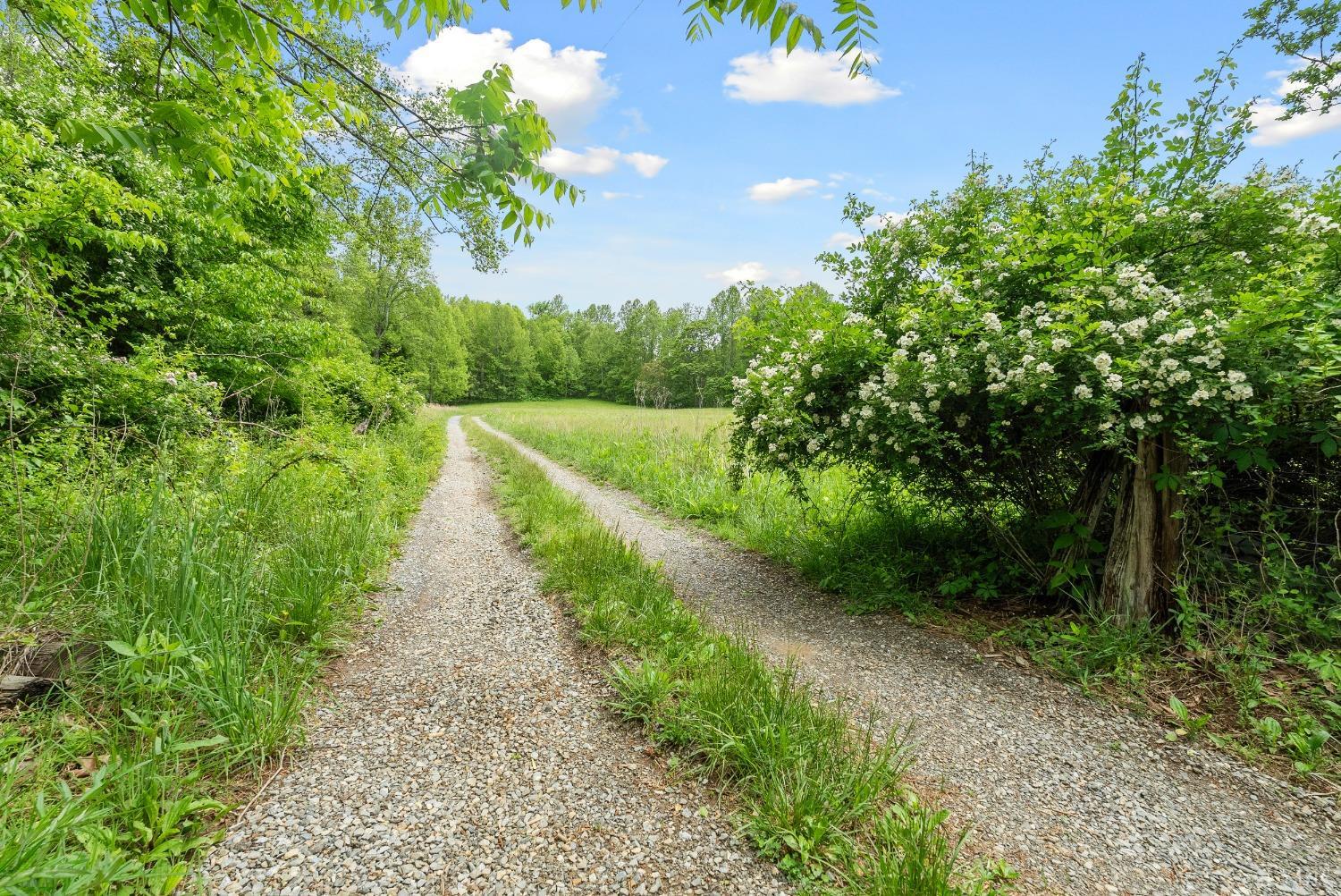 1539 Wheats Valley Road, Bedford, Virginia image 43