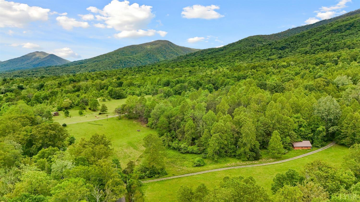1539 Wheats Valley Road, Bedford, Virginia image 31