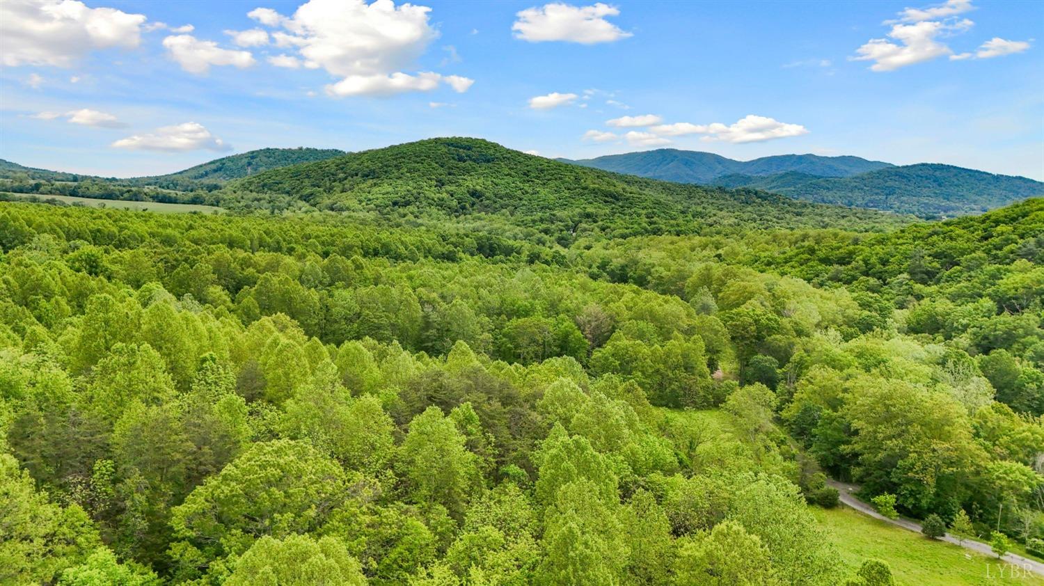 1539 Wheats Valley Road, Bedford, Virginia image 33