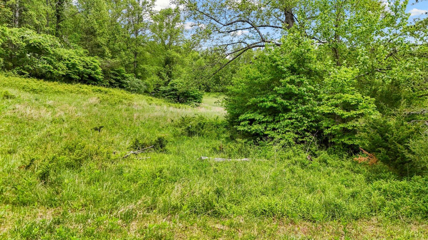 1539 Wheats Valley Road, Bedford, Virginia image 40