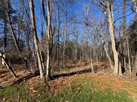 Tiny photo for 7105 Richmond Highway, Appomattox, VA 24522 (MLS # 363730)
