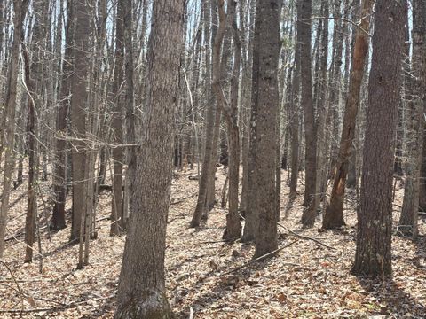 Vacant Land For Sale - Equestrian Trail Road<br/> Buckingham County, New Canton, VA 23123