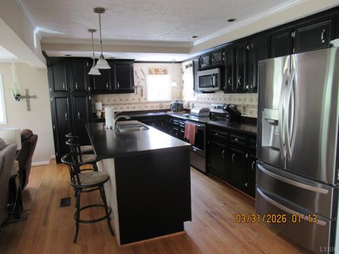 Tiny photo for 135 Cheyenne Drive, Lynchburg, VA 24502 (MLS # 365478)