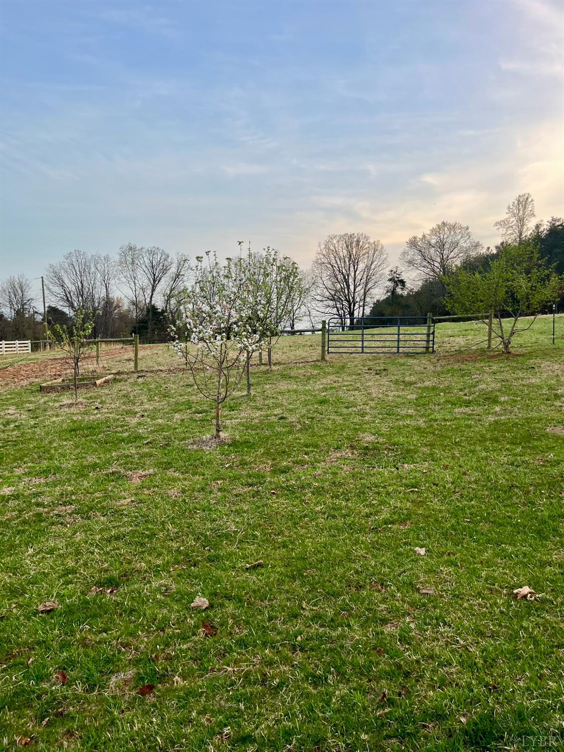 555 Cross Roads Lane, Evington, Virginia image 24