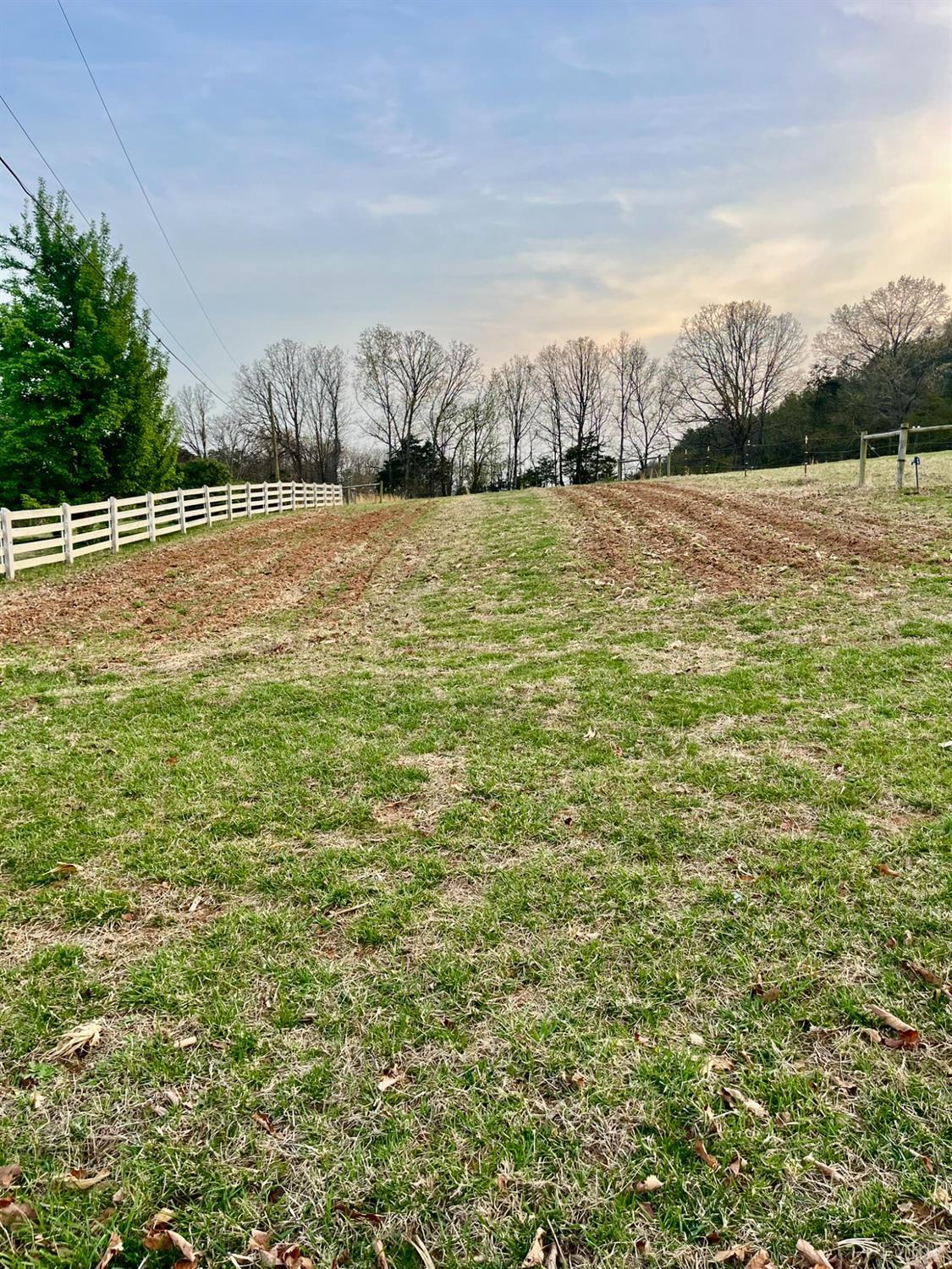 555 Cross Roads Lane, Evington, Virginia image 25