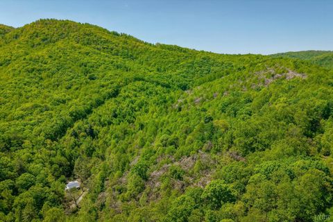 Tiny photo for 0 TBD Audrey Lane, Montvale, VA 24122 (MLS # 366350)