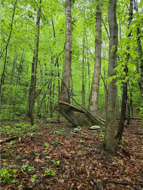 Tiny photo for 0 TBD Audrey Lane, Montvale, VA 24122 (MLS # 366350)