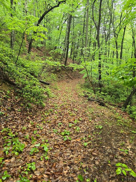Tiny photo for 0 TBD Audrey Lane, Montvale, VA 24122 (MLS # 366350)