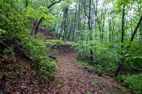 Tiny photo for 0 TBD Audrey Lane, Montvale, VA 24122 (MLS # 366350)