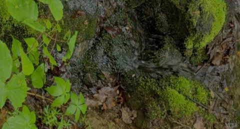 Tiny photo for 0 TBD Audrey Lane, Montvale, VA 24122 (MLS # 366350)