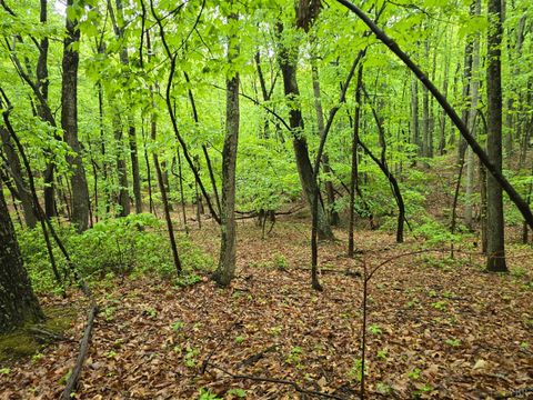 Tiny photo for 0 TBD Audrey Lane, Montvale, VA 24122 (MLS # 366350)