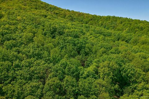 Tiny photo for 0 TBD Audrey Lane, Montvale, VA 24122 (MLS # 366350)