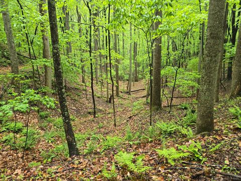 Tiny photo for 0 TBD Audrey Lane, Montvale, VA 24122 (MLS # 366350)