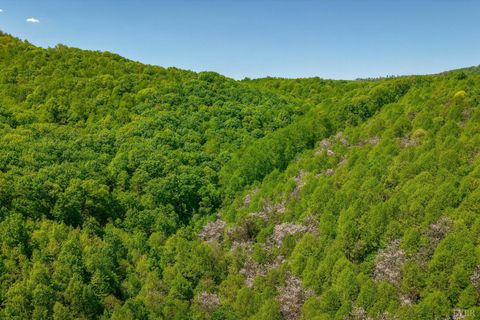 Tiny photo for 0 TBD Audrey Lane, Montvale, VA 24122 (MLS # 366350)