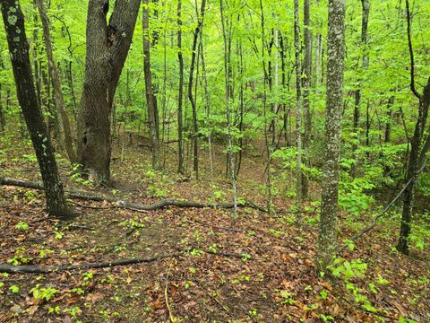 Tiny photo for 0 TBD Audrey Lane, Montvale, VA 24122 (MLS # 366350)