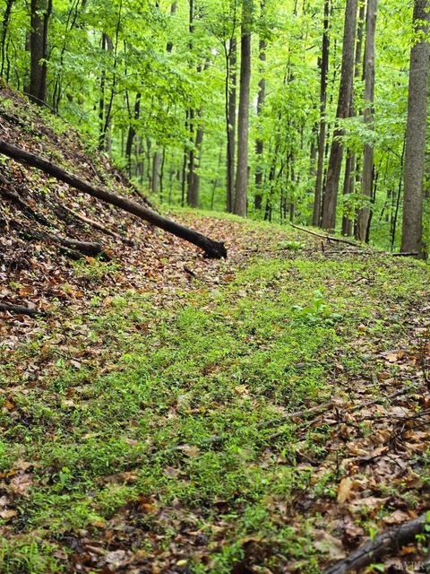 Tiny photo for 0 TBD Audrey Lane, Montvale, VA 24122 (MLS # 366350)