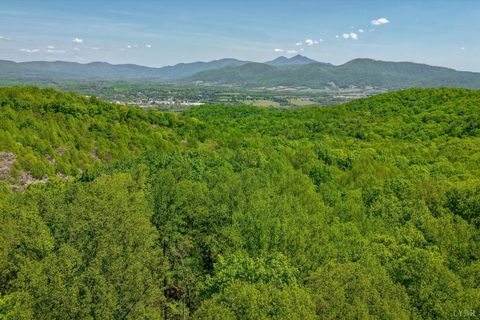 Tiny photo for 0 TBD Audrey Lane, Montvale, VA 24122 (MLS # 366350)