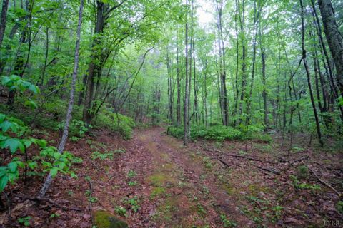 Tiny photo for 0 TBD Audrey Lane, Montvale, VA 24122 (MLS # 366350)