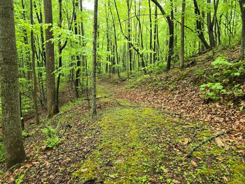 Tiny photo for 0 TBD Audrey Lane, Montvale, VA 24122 (MLS # 366350)