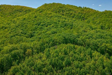 Tiny photo for 0 TBD Audrey Lane, Montvale, VA 24122 (MLS # 366350)