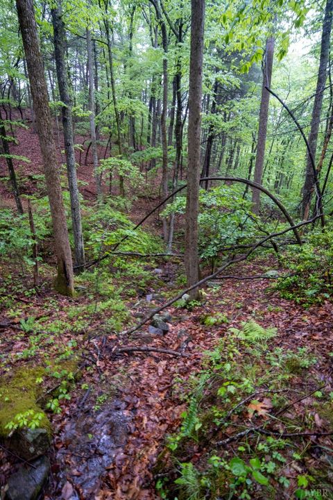 Tiny photo for 0 TBD Audrey Lane, Montvale, VA 24122 (MLS # 366350)