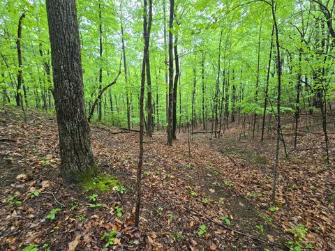 Tiny photo for 0 TBD Audrey Lane, Montvale, VA 24122 (MLS # 366350)