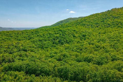 Tiny photo for 0 TBD Audrey Lane, Montvale, VA 24122 (MLS # 366350)