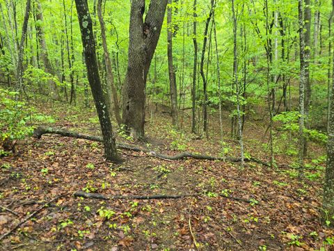Tiny photo for 0 TBD Audrey Lane, Montvale, VA 24122 (MLS # 366350)